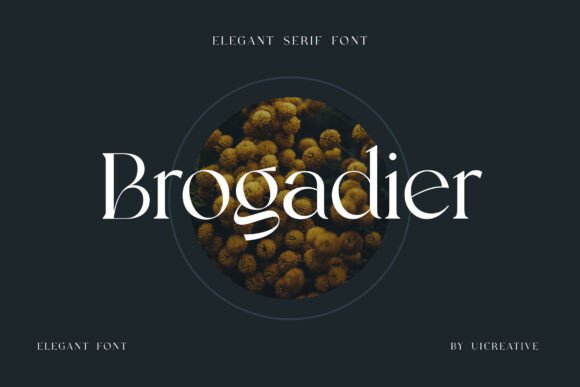 Brogadier: A Serif Font That Elevates Your Brand