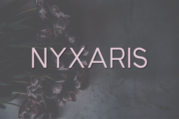 How Nyxaris Helped My Bakery Look More Professional