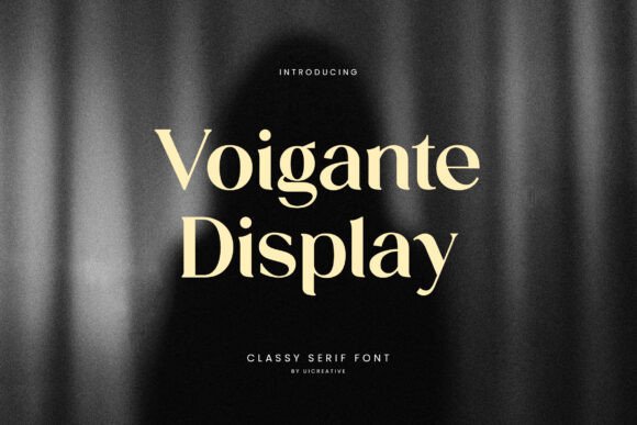 Voice of Style: Voigante Display for Handmade Creators