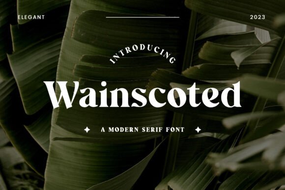 Wainscoted: A Timeless Sans Serif for Editorial Design